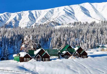 Jammu to Gulmarg & Srinagar Tour